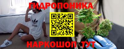 каннабис Шелехов