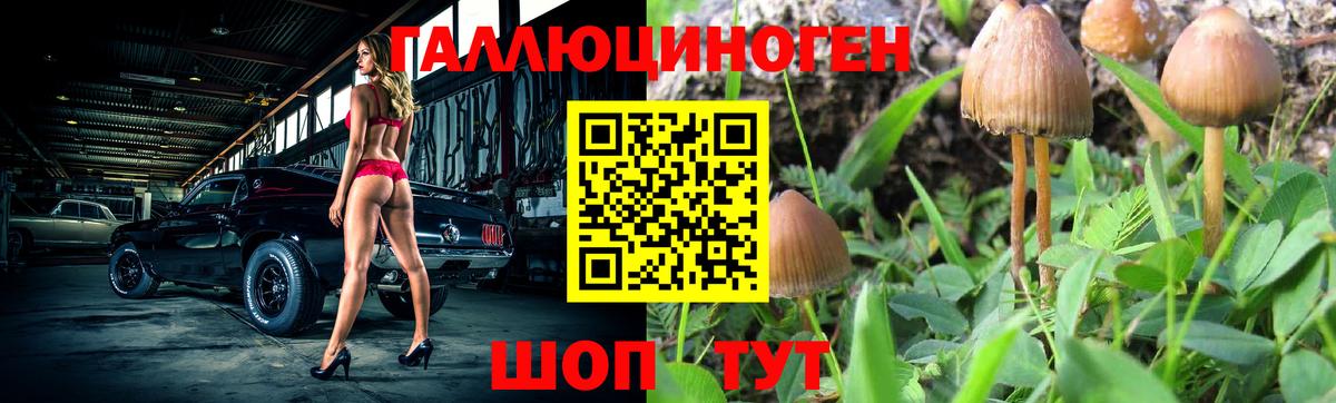 наркотики  Вход с VPN  Златоуст  Галлюциногенные грибы Psilocybine cubensis  Псилоцибиновые грибы GOLDEN TEACHER 